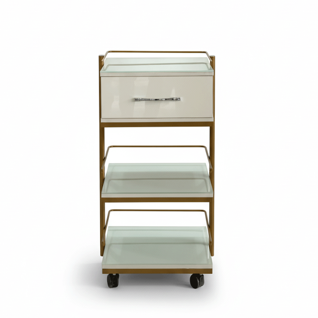 ترالی زیبایی یک کشو