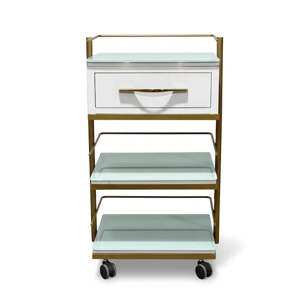 ترالی زیبایی فلزی چند منظوره